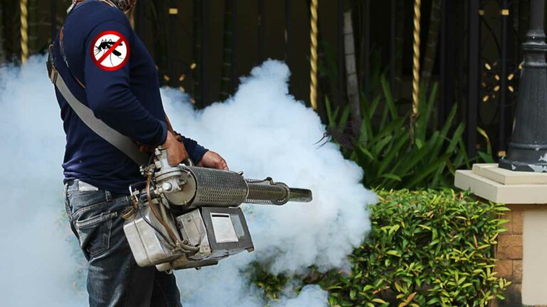 O trabalho para combater os focos do mosquito da dengue seguem sendo intensificados no município de Luiziana