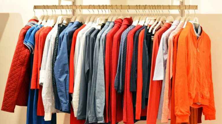 Como escolher arara de roupas para sua casa?