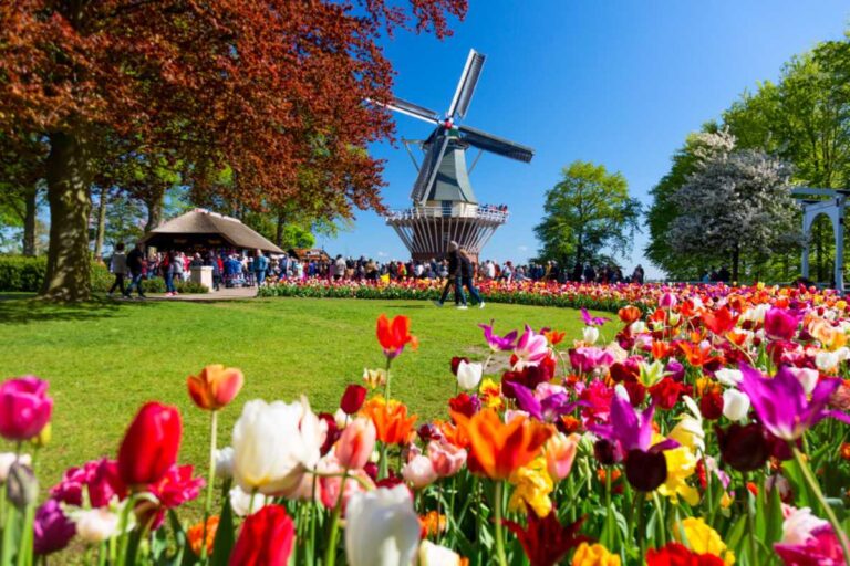 Primavera na Holanda: o que acontece quando o maior jardim do mundo desperta Primavera na Holanda: o que acontece quando o maior jardim do mundo desperta