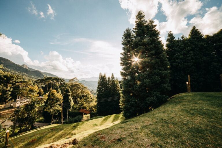 Centro, Lago Negro ou Hortênsias: onde ficar em Gramado muda totalmente sua experiência